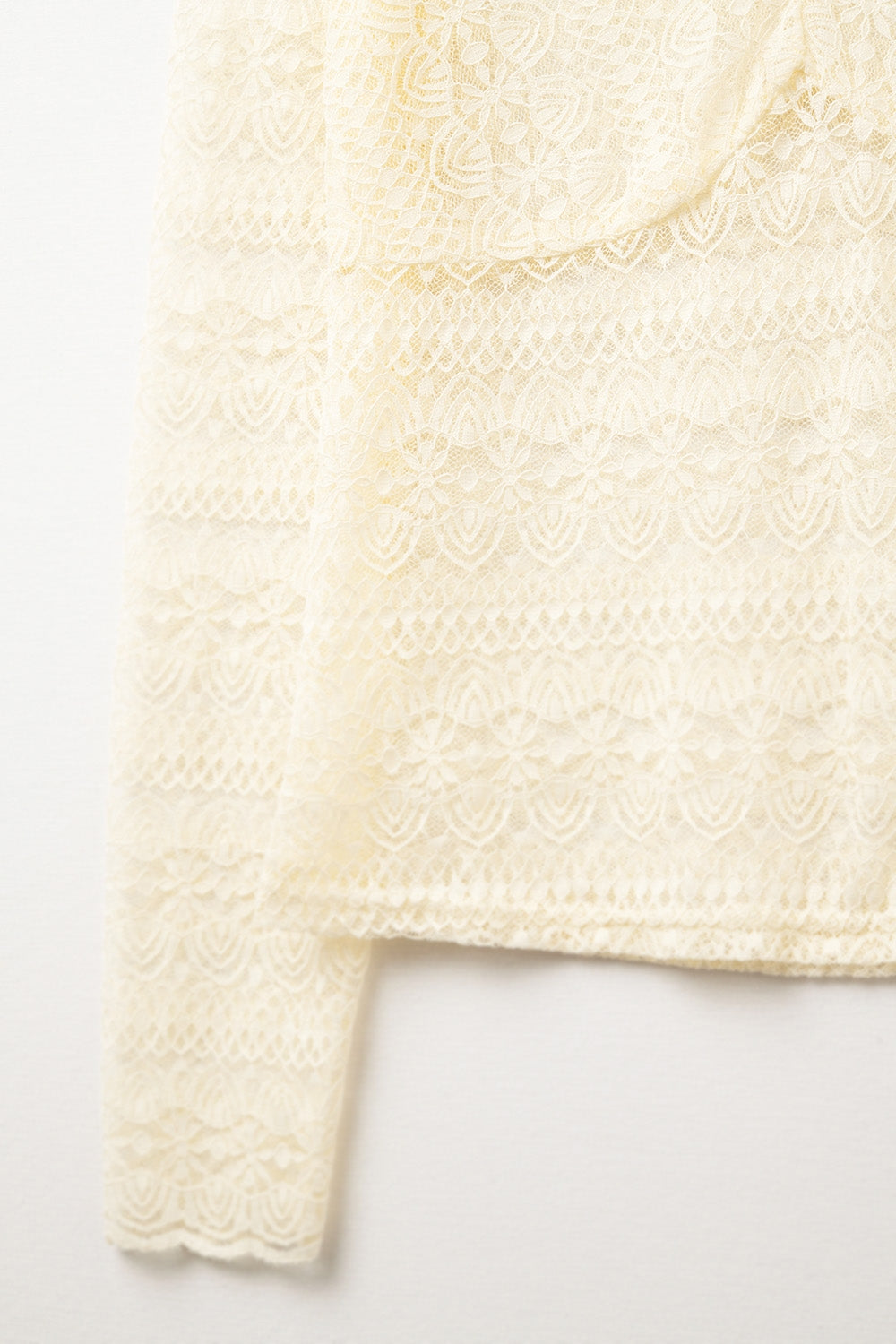 Romantic V-neck Lace Top With Long Sleeves in beige