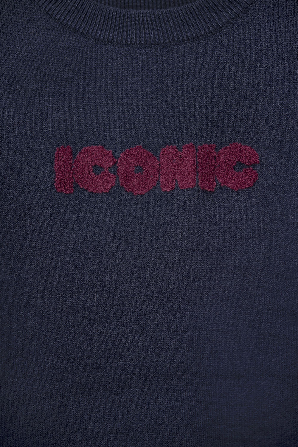 Embroidered ICONIC Sweater with Global Tour Back Print in Navy