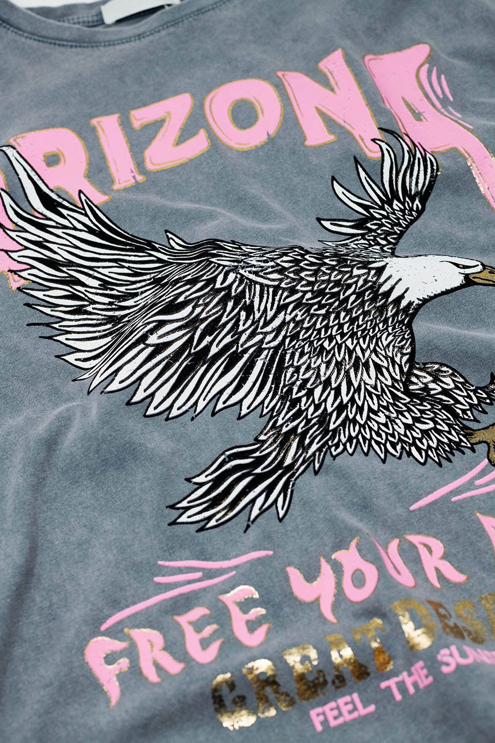 Arizona T-shirt with Eagle Digital Print in Grey