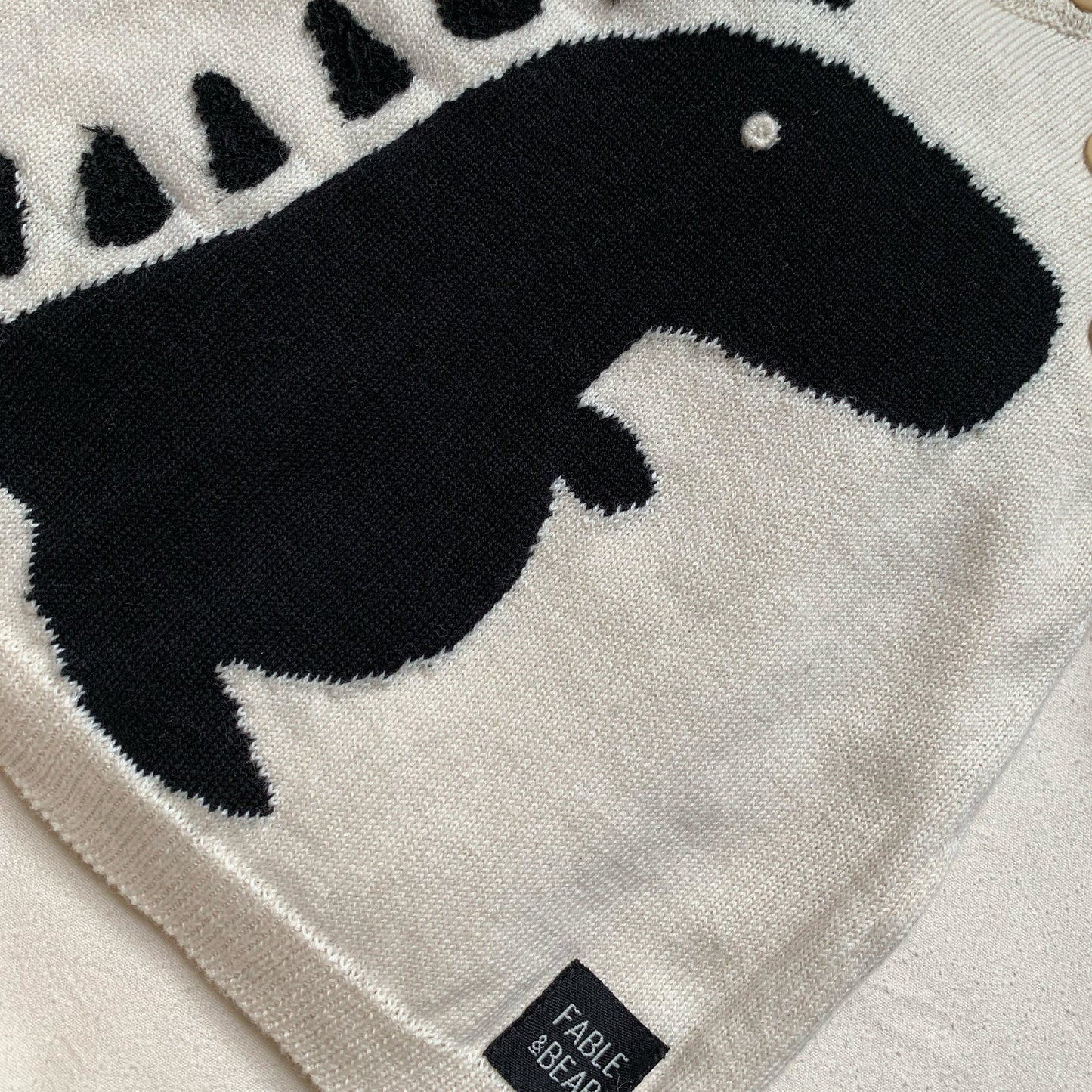 Dino Jumper - Sweaters
