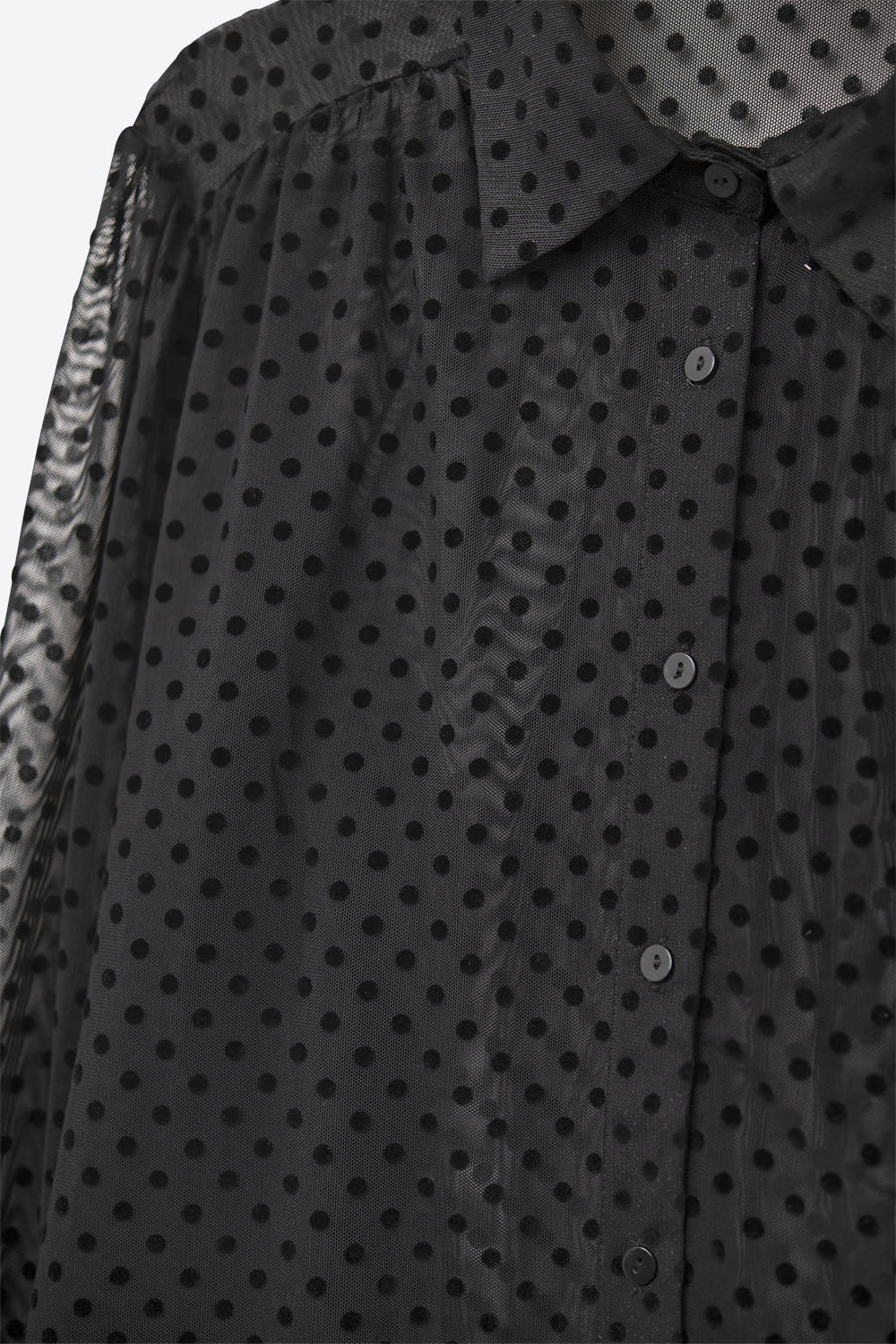 Black Polka-Dot Button-Up Shirt in chiffon - Shirts