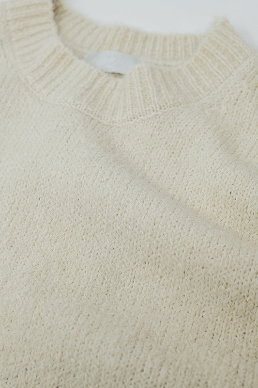 Cozy Basic Crew Neck Knitted Sweater in Cream - Jumpers