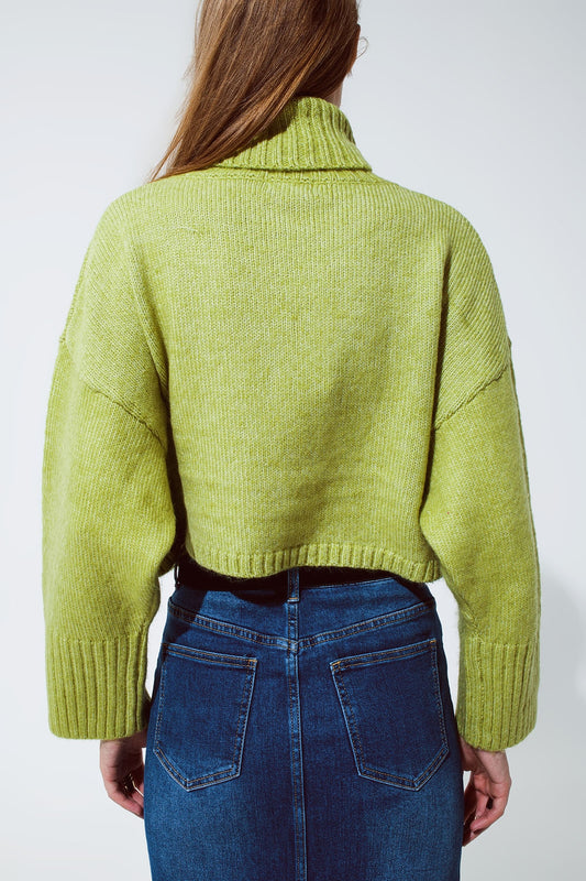 Cropped Chunky Knit Sweater With Turtle Neck in Green - Jumpers