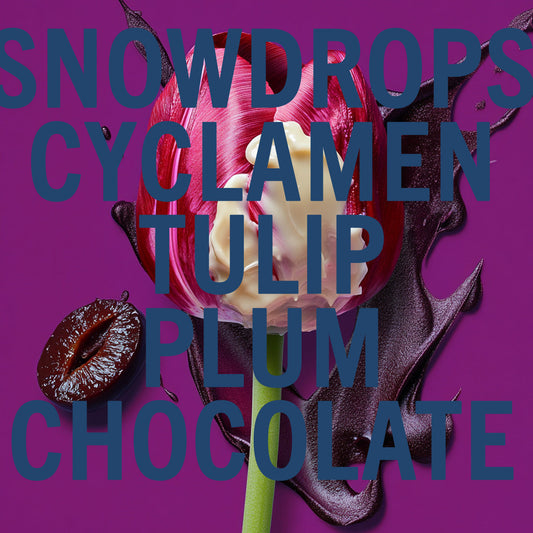 Shay & Blue Black Tulip Fragrance 100ml Natural Spray - Natural Spray Fragrance