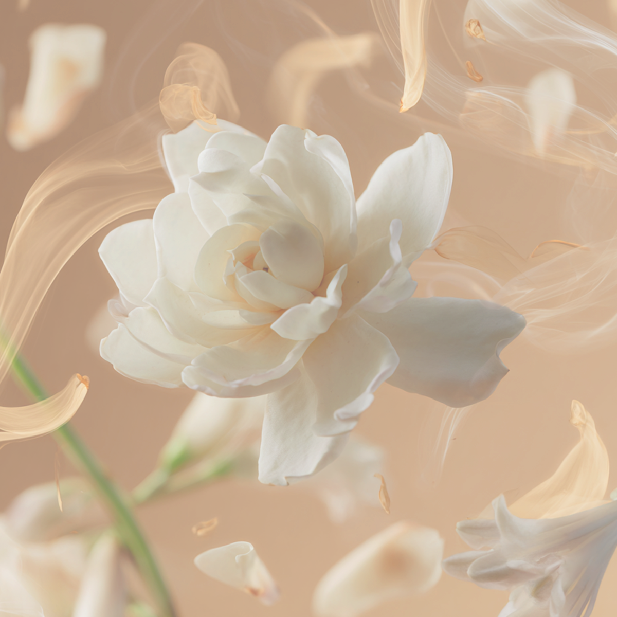 Shay & Blue Tallulahs Camellia Fragrance 10ml Spray - Natural Spray Fragrance