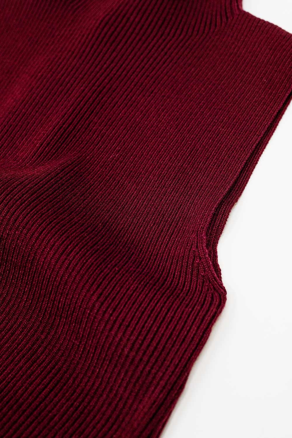 Turtle Neck Ribbed Top in Burgundy - Jumpers