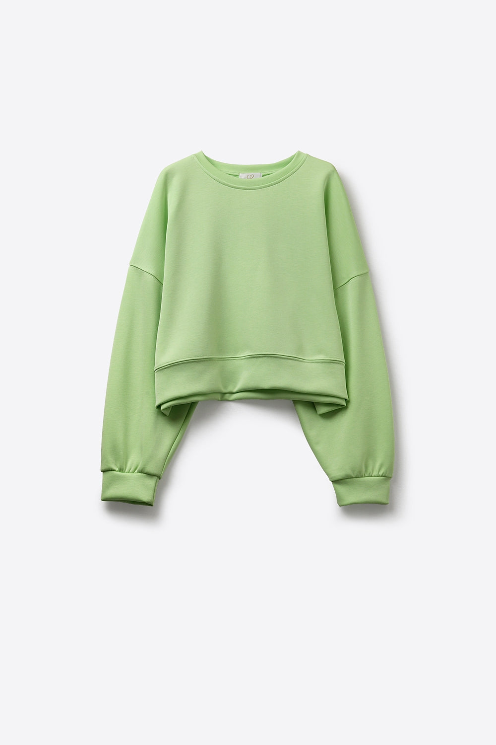 Crew Neck Dropped Shoulder Basic Sweatshirt in green