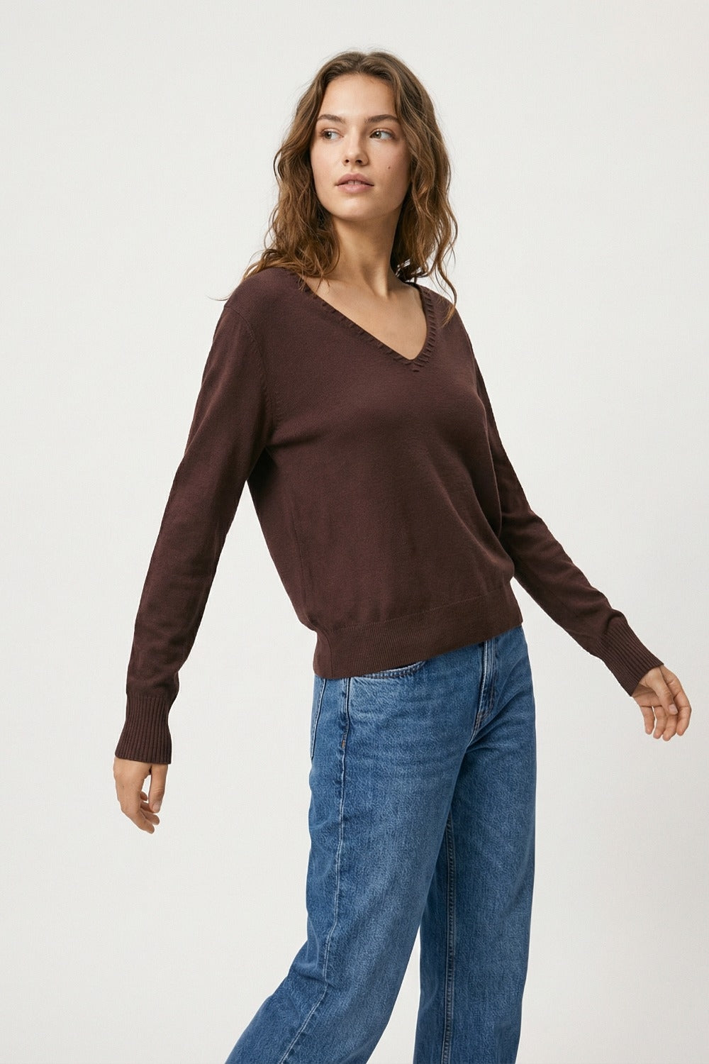 Fine Knit V-Neck Sweater with Decorative Neckline Detail in brown color - Jumpers