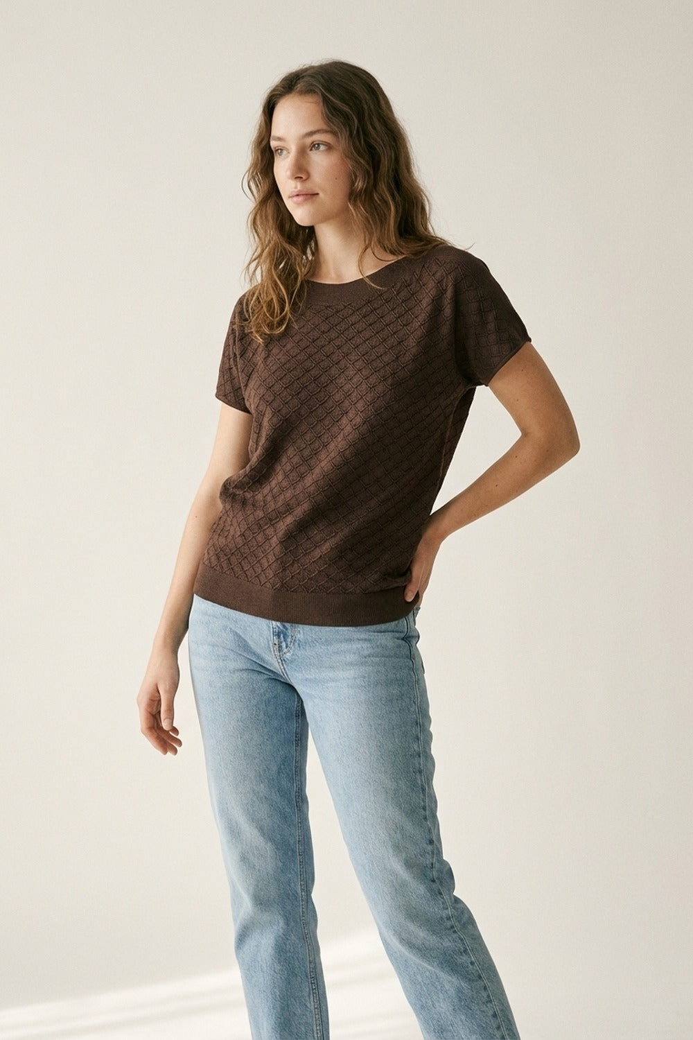 Brown Knit Short Sleeve Relaxed Fit Sweater