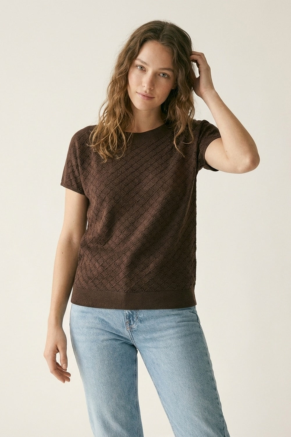 Brown Knit Short Sleeve Relaxed Fit Sweater