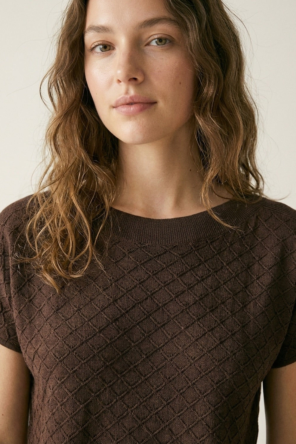 Brown Knit Short Sleeve Relaxed Fit Sweater