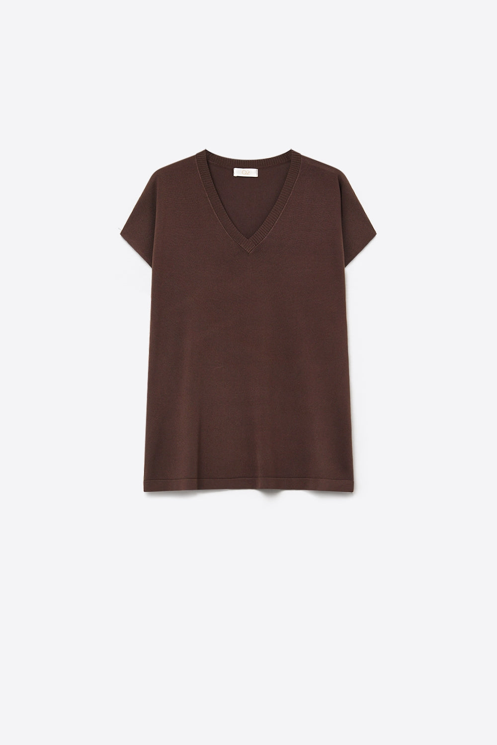 Brown Fine Knit V-Neck Short Sleeve Sweater