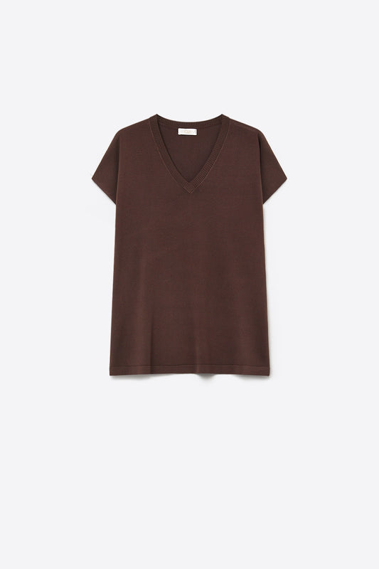 Brown Fine Knit V-Neck Short Sleeve Sweater