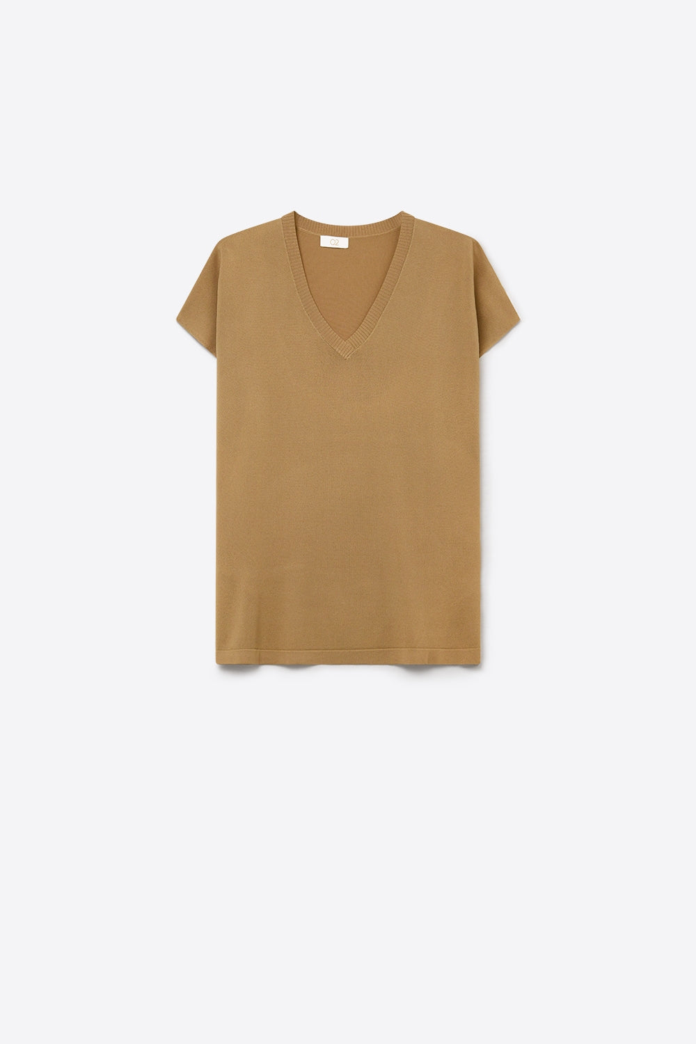 Camel Fine Knitted V-Neck Short Sleeve Sweater