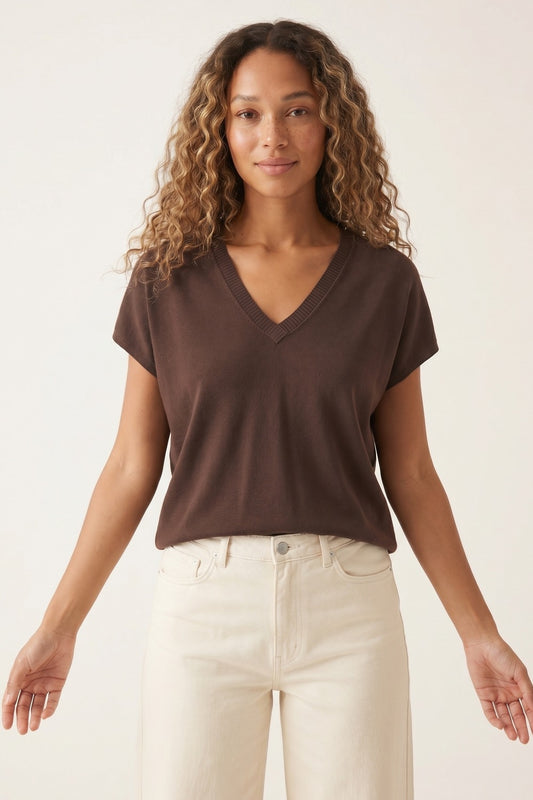 Brown Fine Knit V-Neck Short Sleeve Sweater