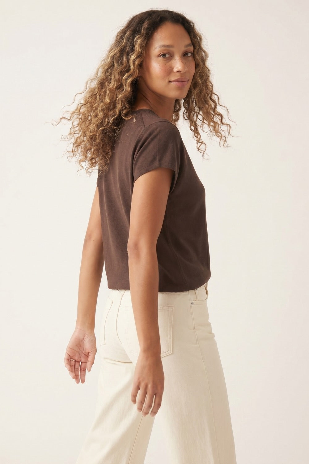 Brown Fine Knit V-Neck Short Sleeve Sweater