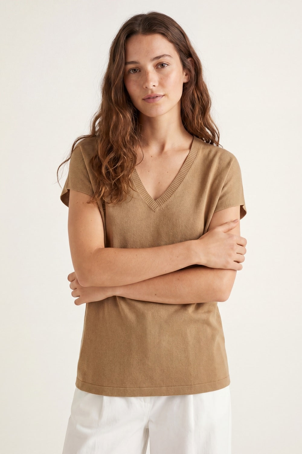 Camel Fine Knitted V-Neck Short Sleeve Sweater