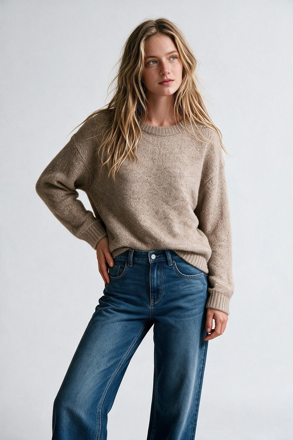 Beige Brushed Knit Sequined Crew Neck Ribbed Trim Sweater - Jumpers