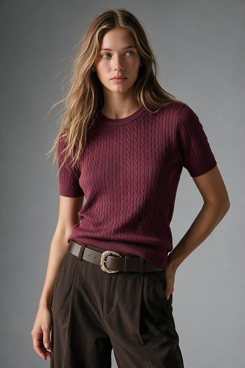 wine Cable Knit Crew Neck Short Sleeve Sweater - Tops