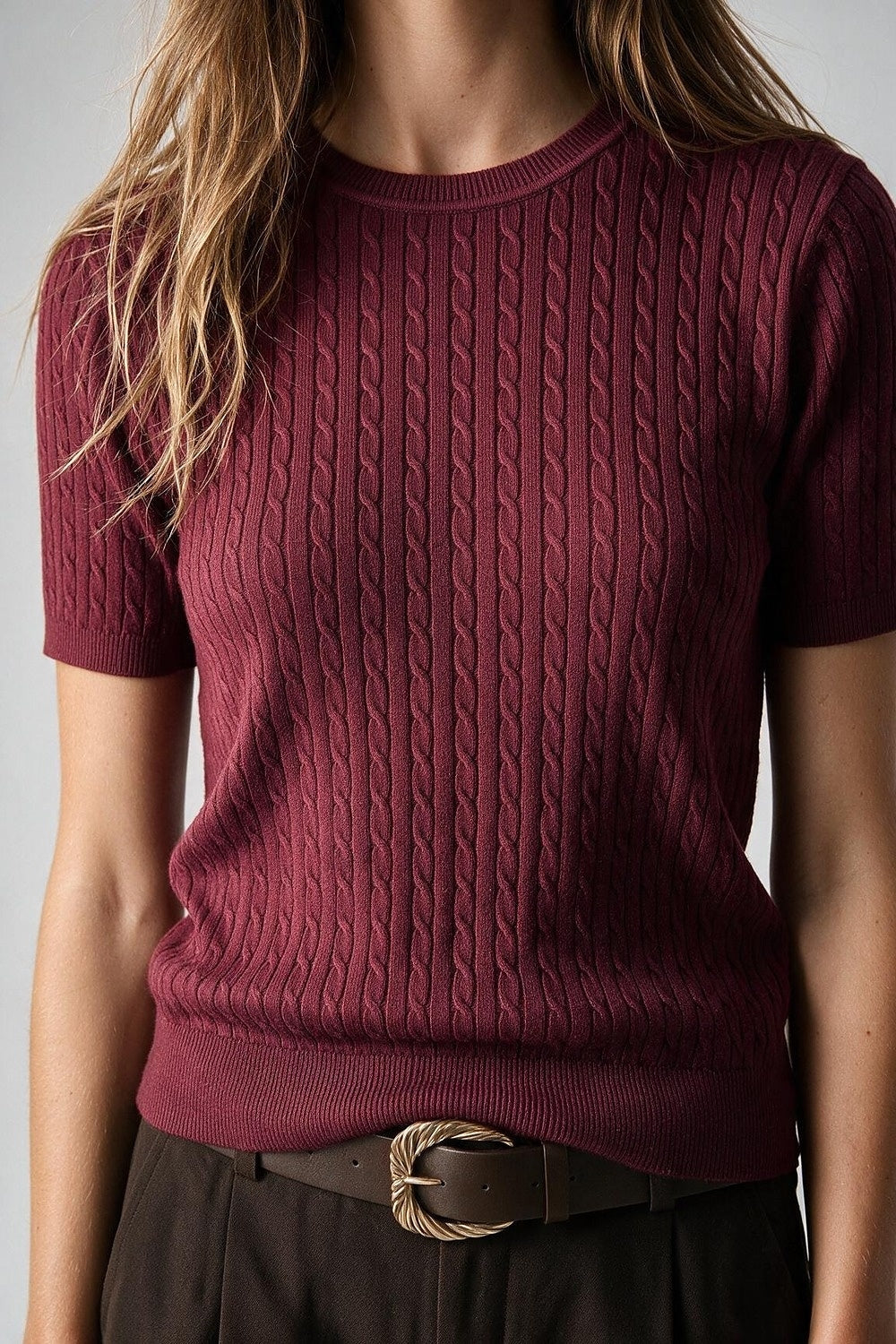 wine Cable Knit Crew Neck Short Sleeve Sweater - Tops