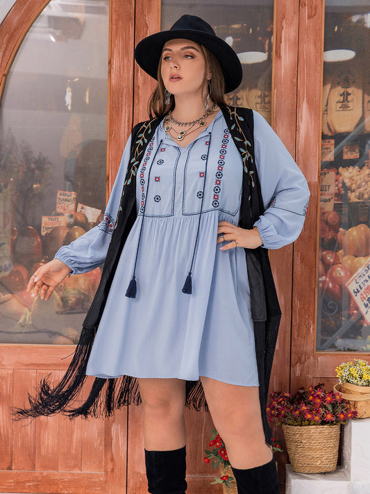 Plus Size Tie Neck Tassel Detail Long Sleeve Mini Dress Misty Blue -