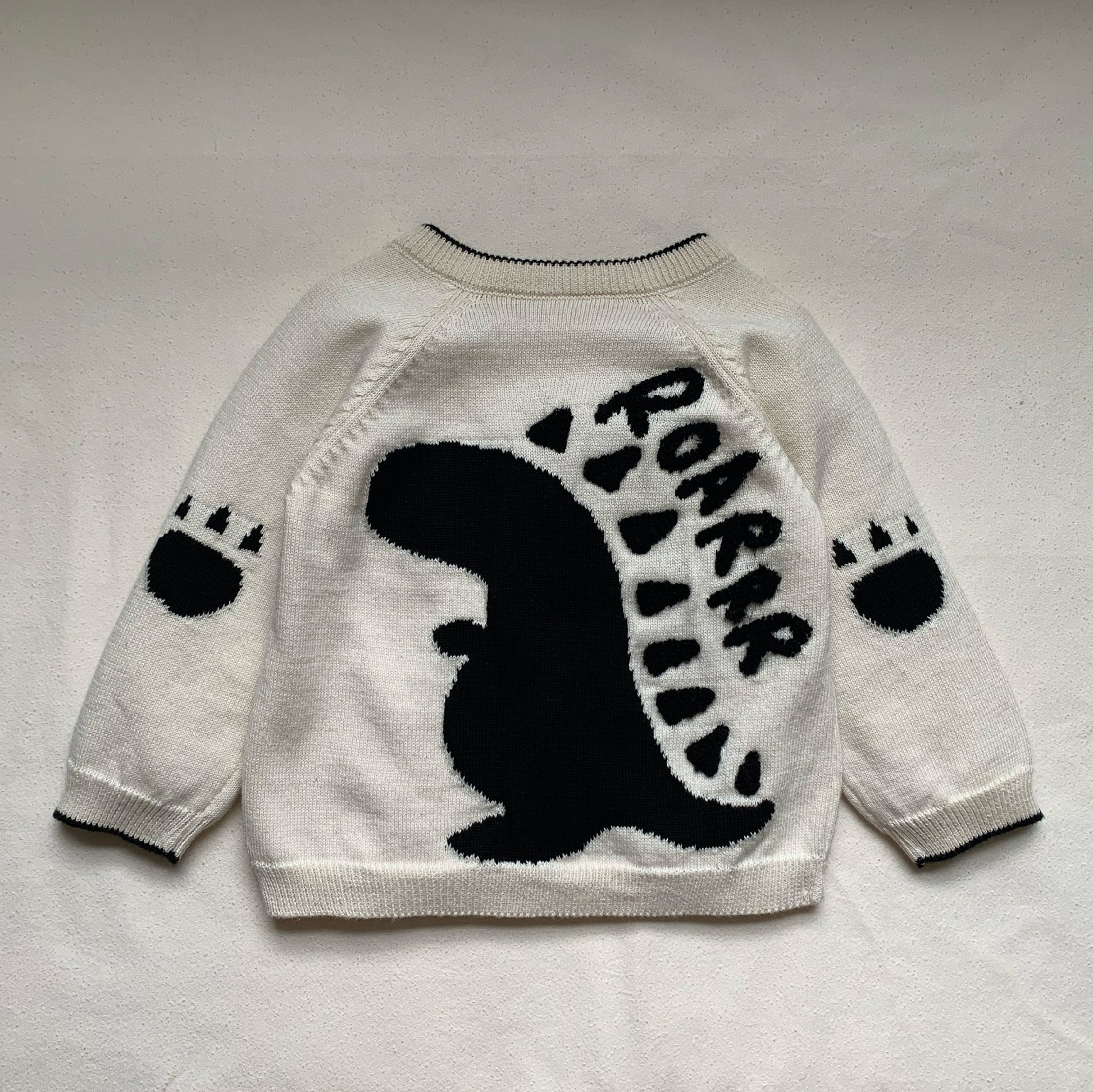 Dino Jumper - Sweaters