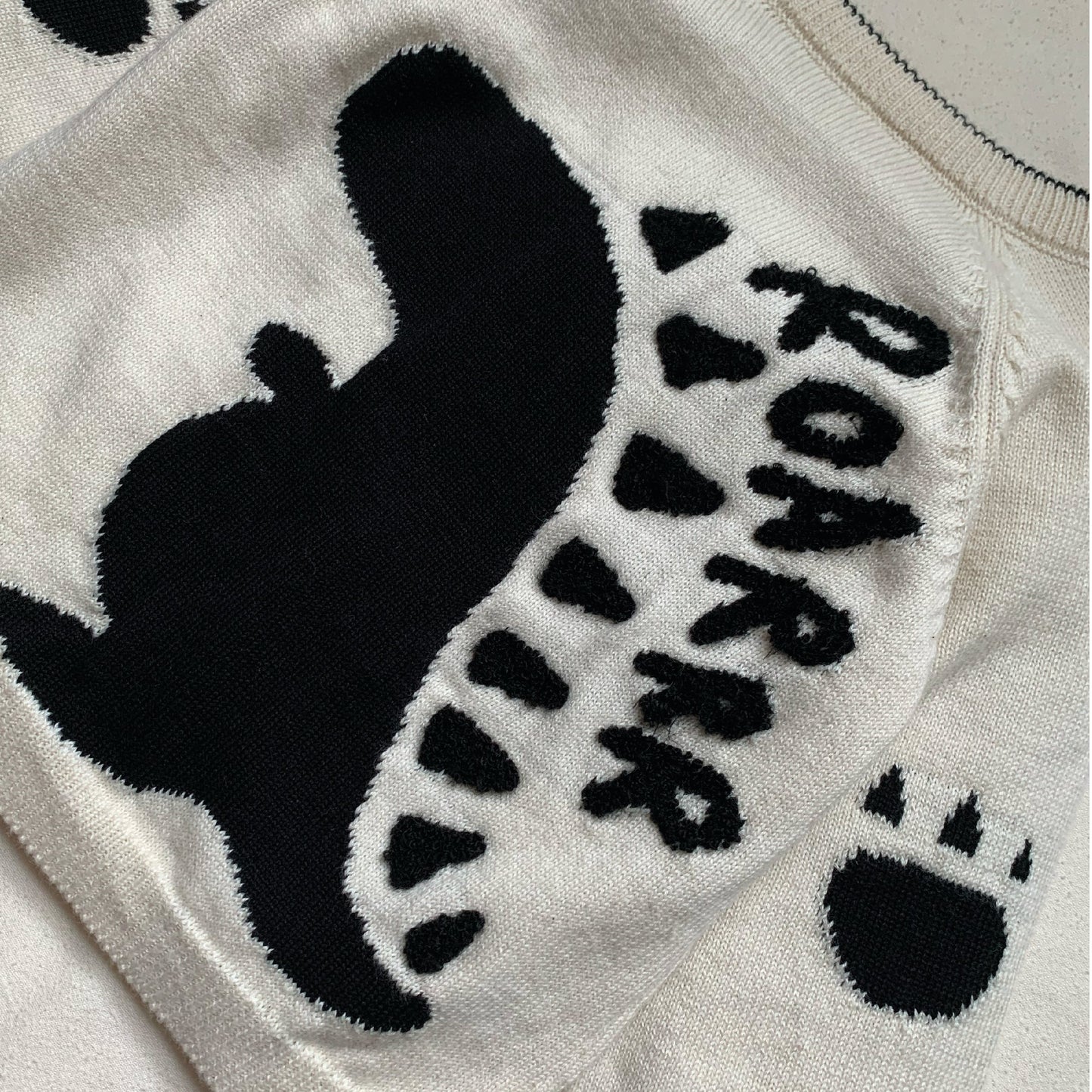 Dino Jumper - Sweaters
