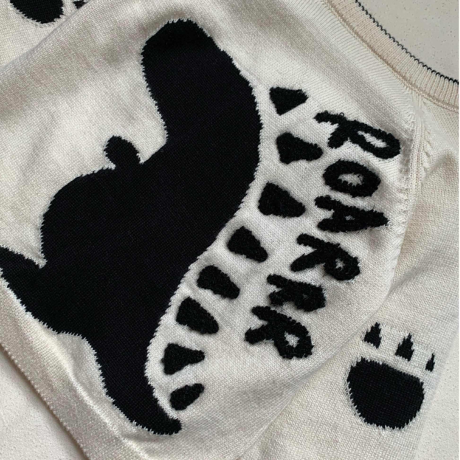 Dino Jumper - Sweaters