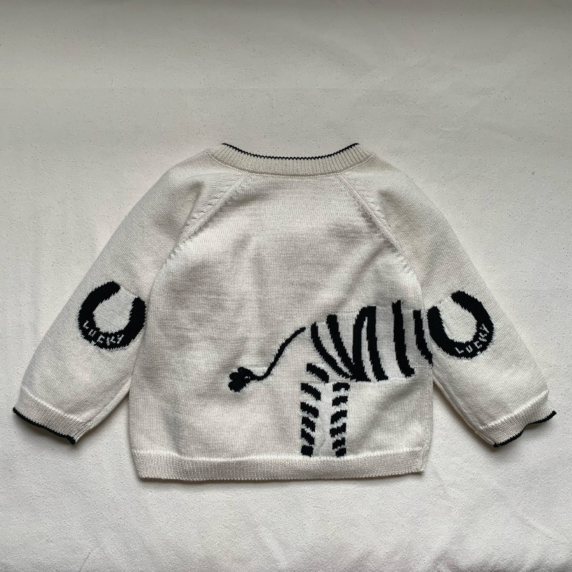 Lucky Zebra Jumper - Clothing