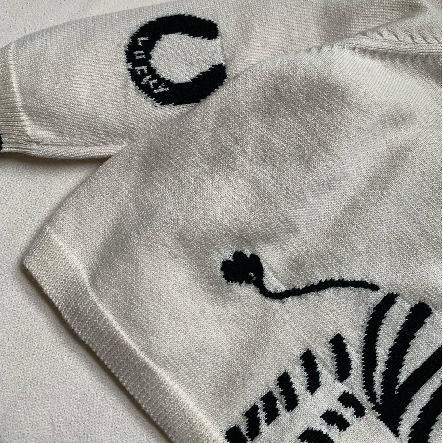 Lucky Zebra Jumper - Clothing