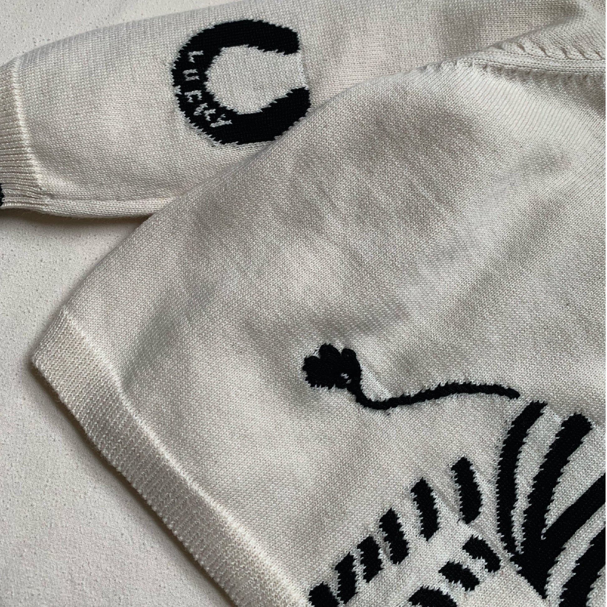 Lucky Zebra Jumper - Clothing