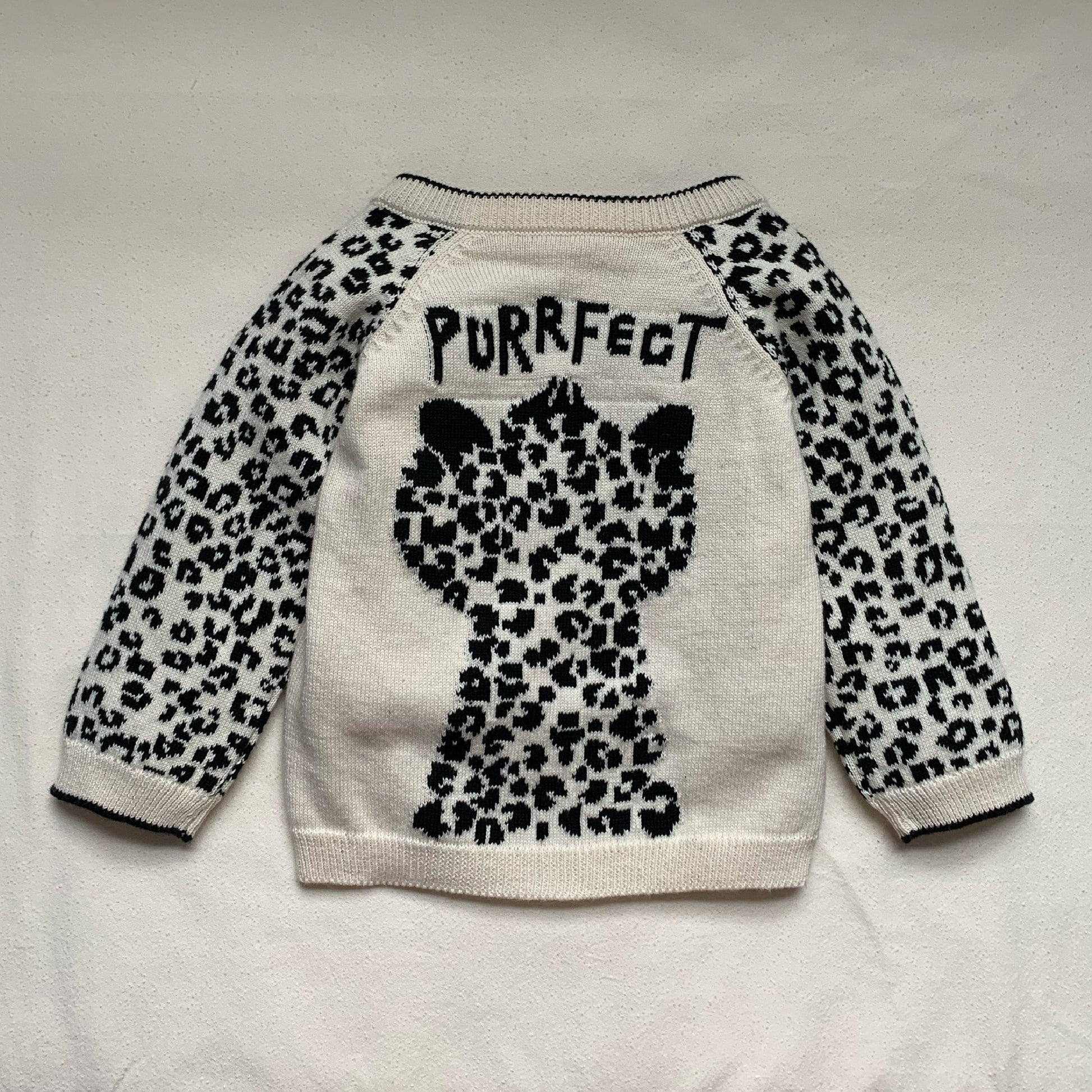 Purrfect Leo Jumper - Sweaters