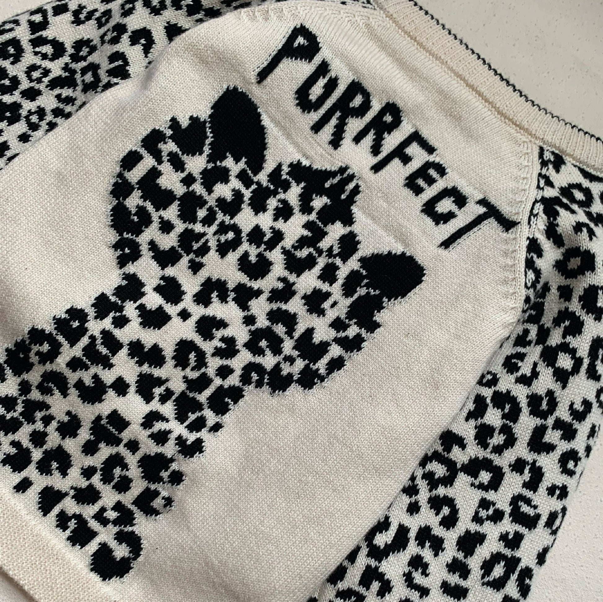 Purrfect Leo Jumper - Sweaters