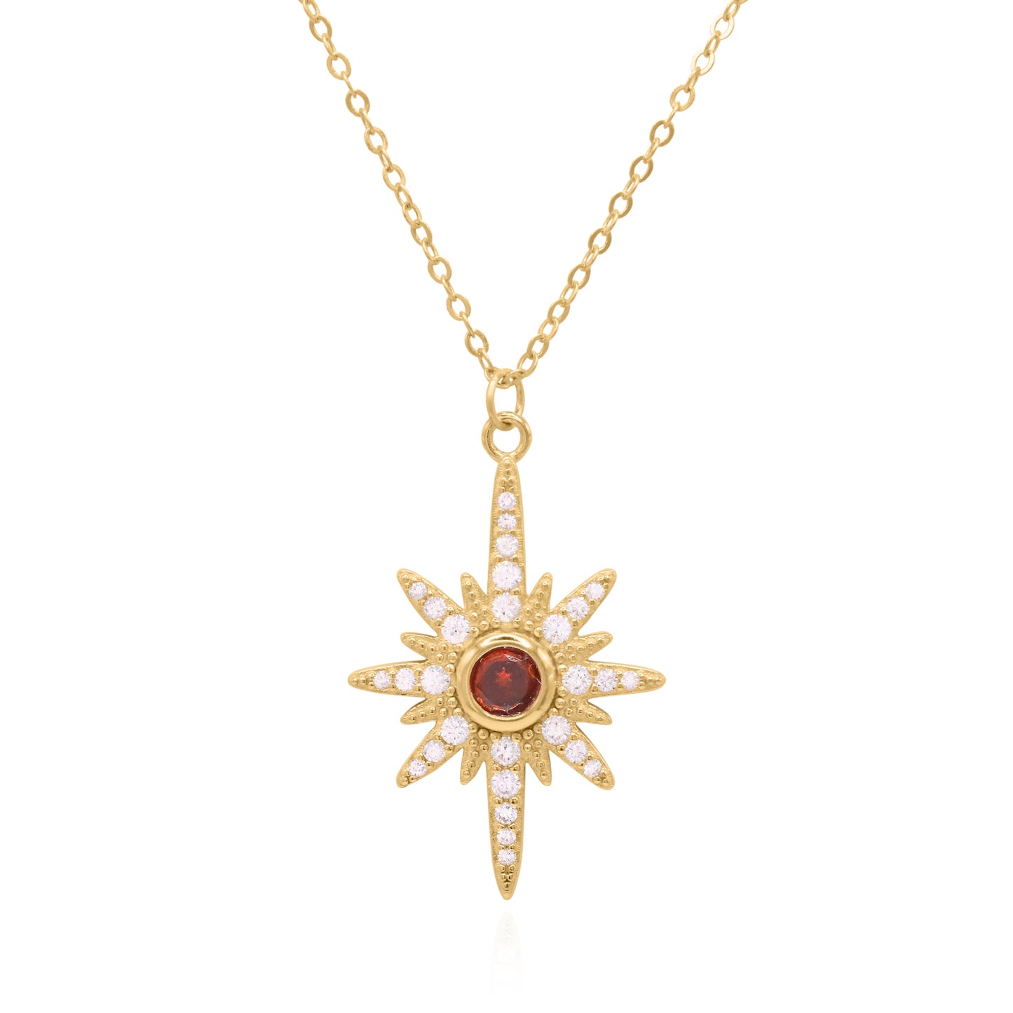 Heidi North Star Birthstone Necklace | 18K Gold Plated January - Necklace