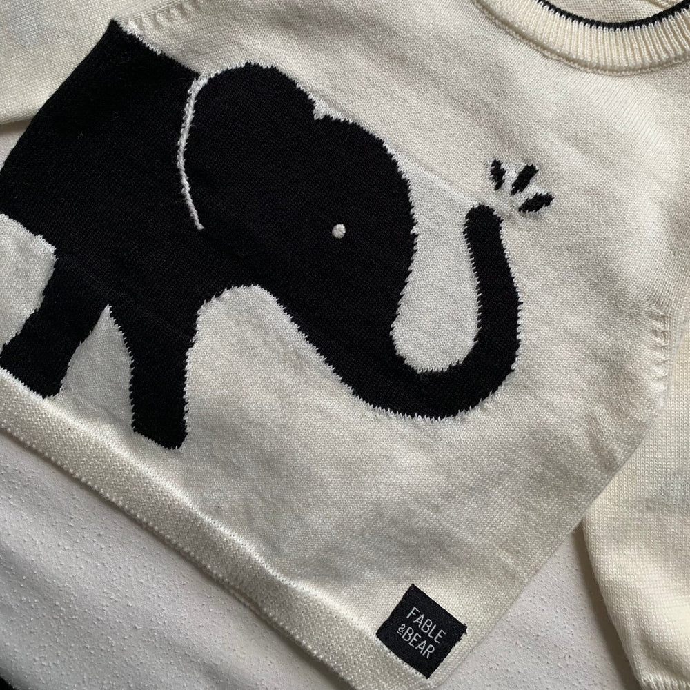 Pull éléphant
