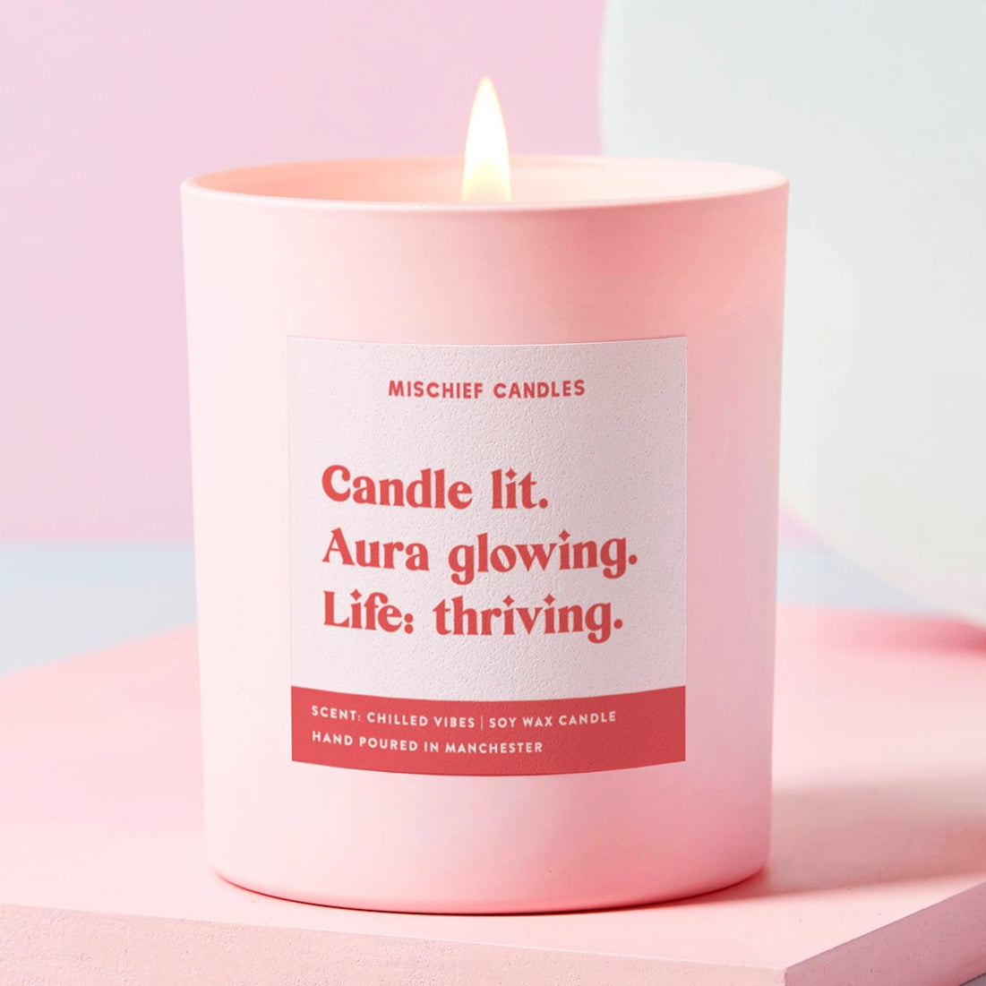 Positivity Gift Funny Self-Care Gift Soy Wax Candle Life Thriving - Candles