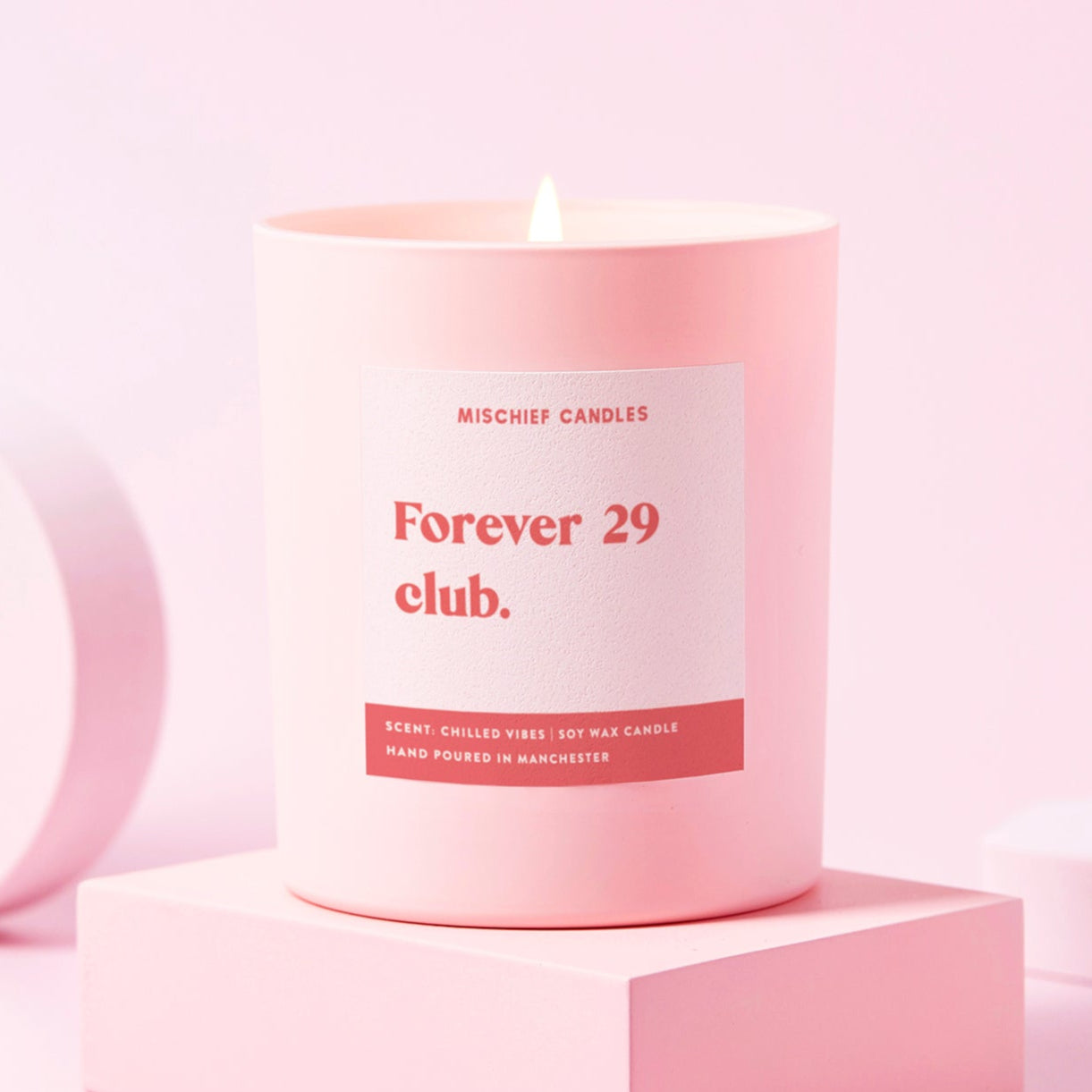 Funny 30th Birthday Gift Soy Wax Candle Forever 29 Club Candle Only - Candles
