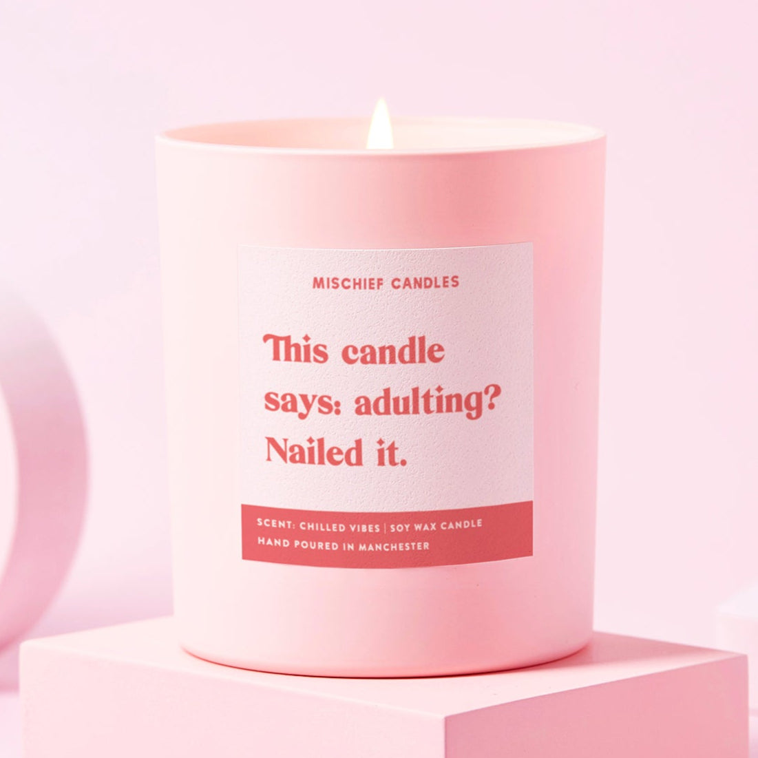 New Home Gift Funny Friend Gift Soy Wax Candle Adulting Nailed It - Candles