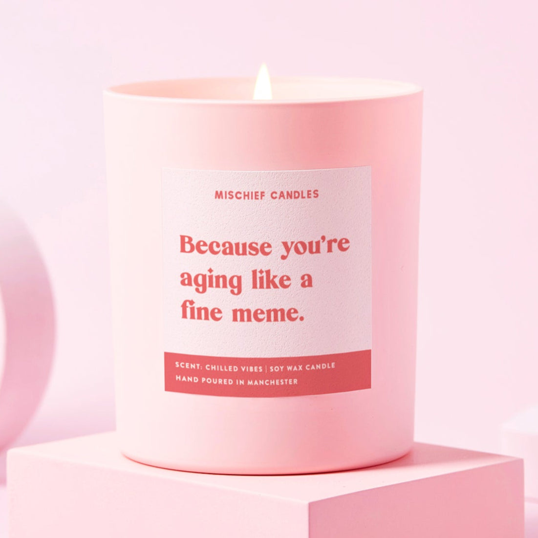 Funny Birthday Gift Soy Wax Candle Aging Like a Fine Meme - Candles
