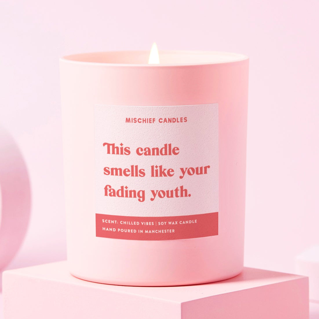 Funny Birthday Gift Soy Wax Candle Smells Like Your Fading Youth - Candles