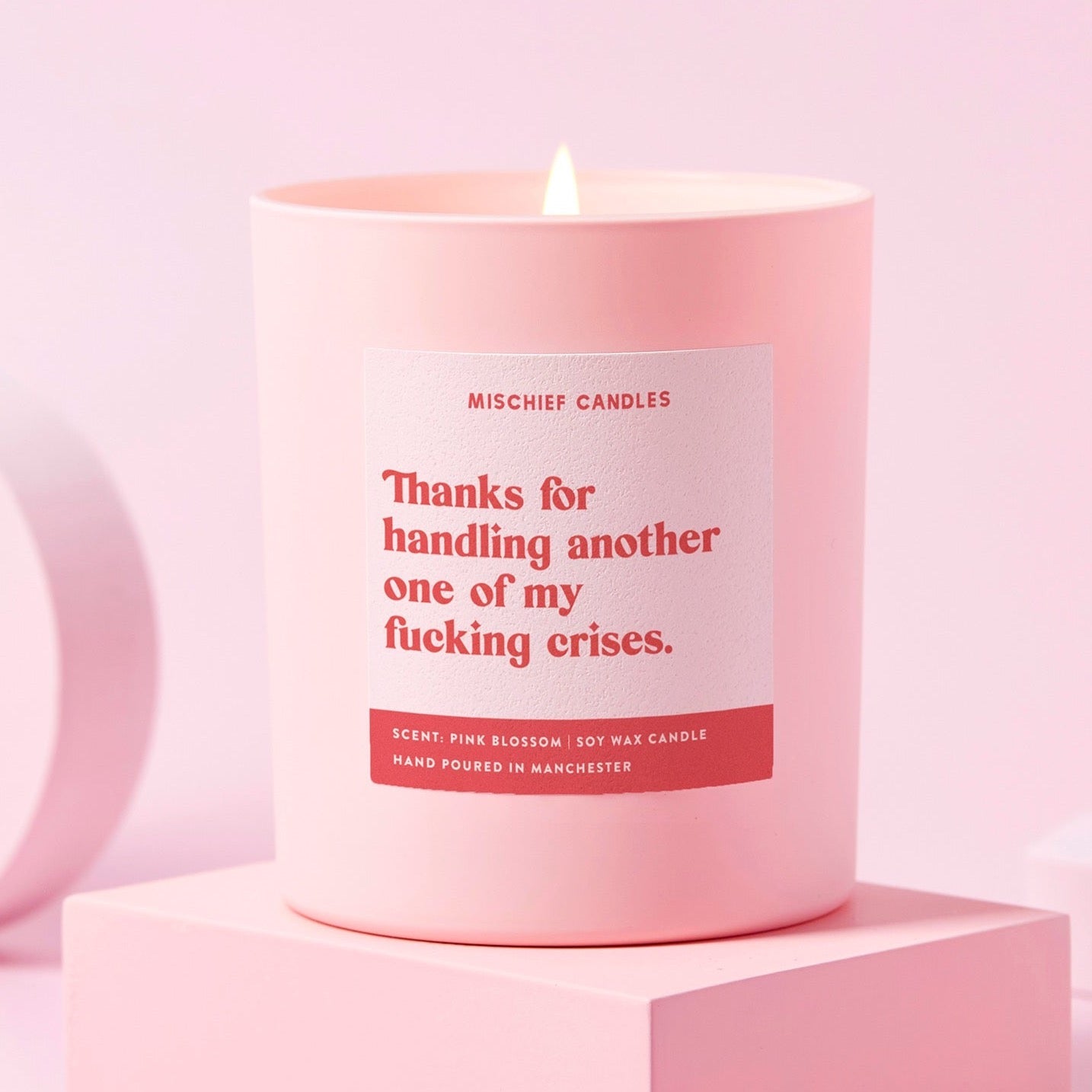 Funny Thank You Gift Soy Wax Candle Handling Another Crisis Candle Only - Candles