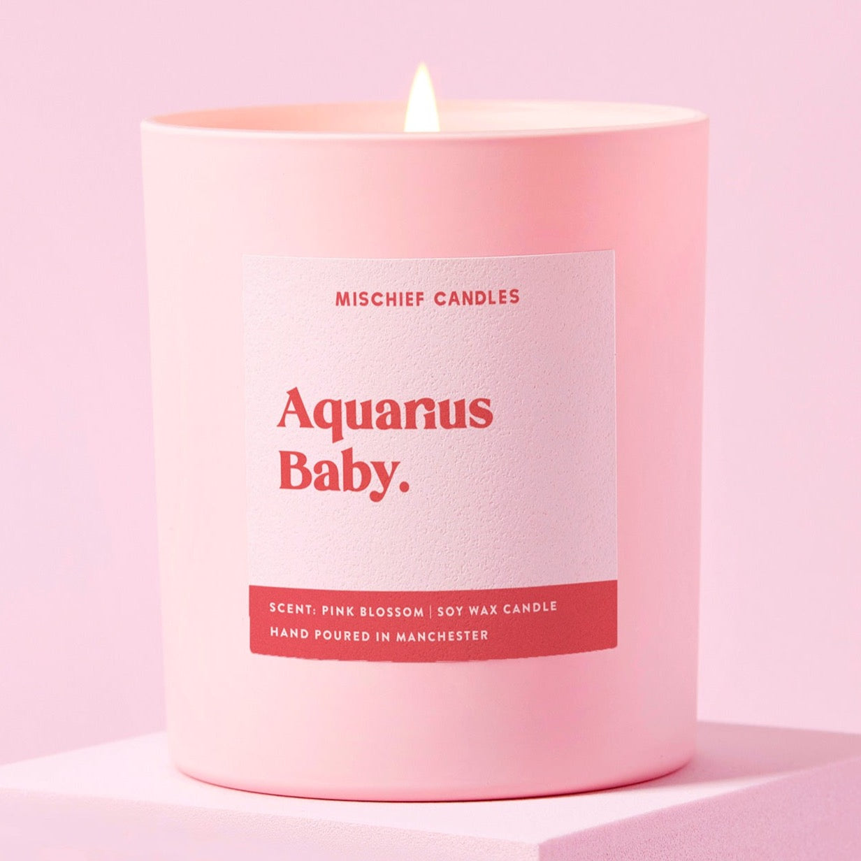 Aquarius Birthday Gift Funny Zodiac Candle Aquarius Baby Candle Only - Candles