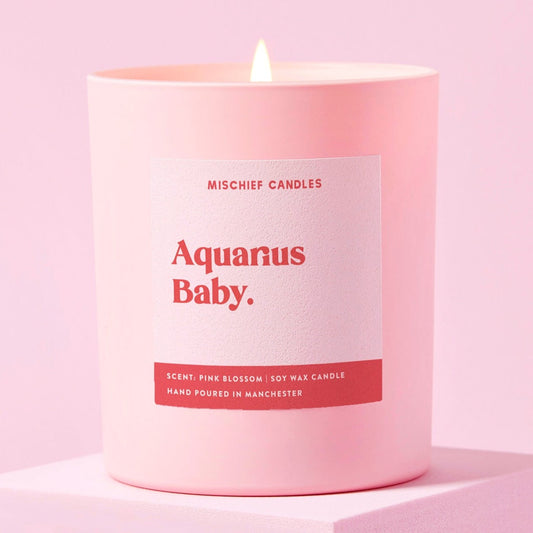 Aquarius Birthday Gift Funny Zodiac Candle Aquarius Baby Candle Only - Candles