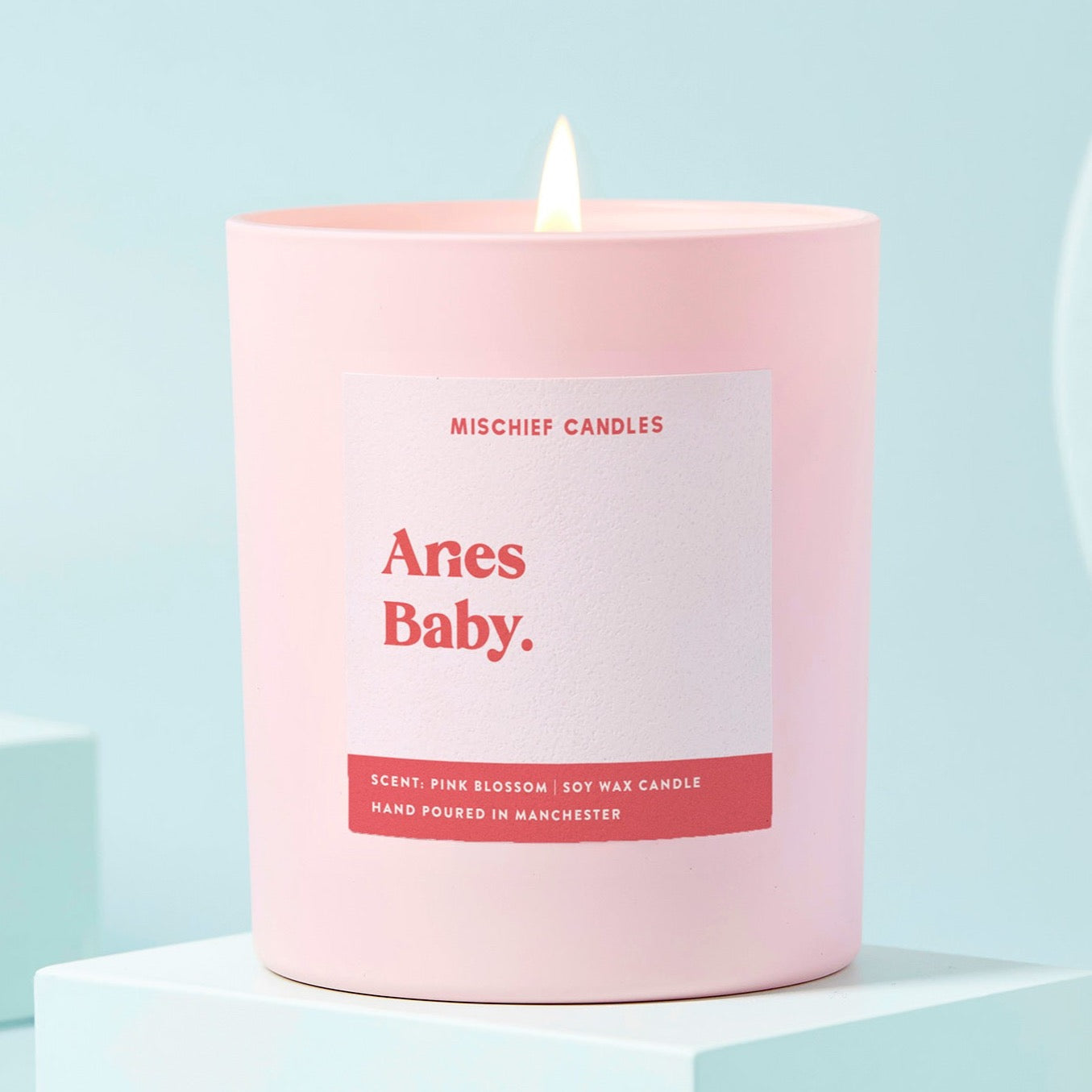 Aries Birthday Gift Funny Zodiac Candle Aries Baby Candle Only - Candles
