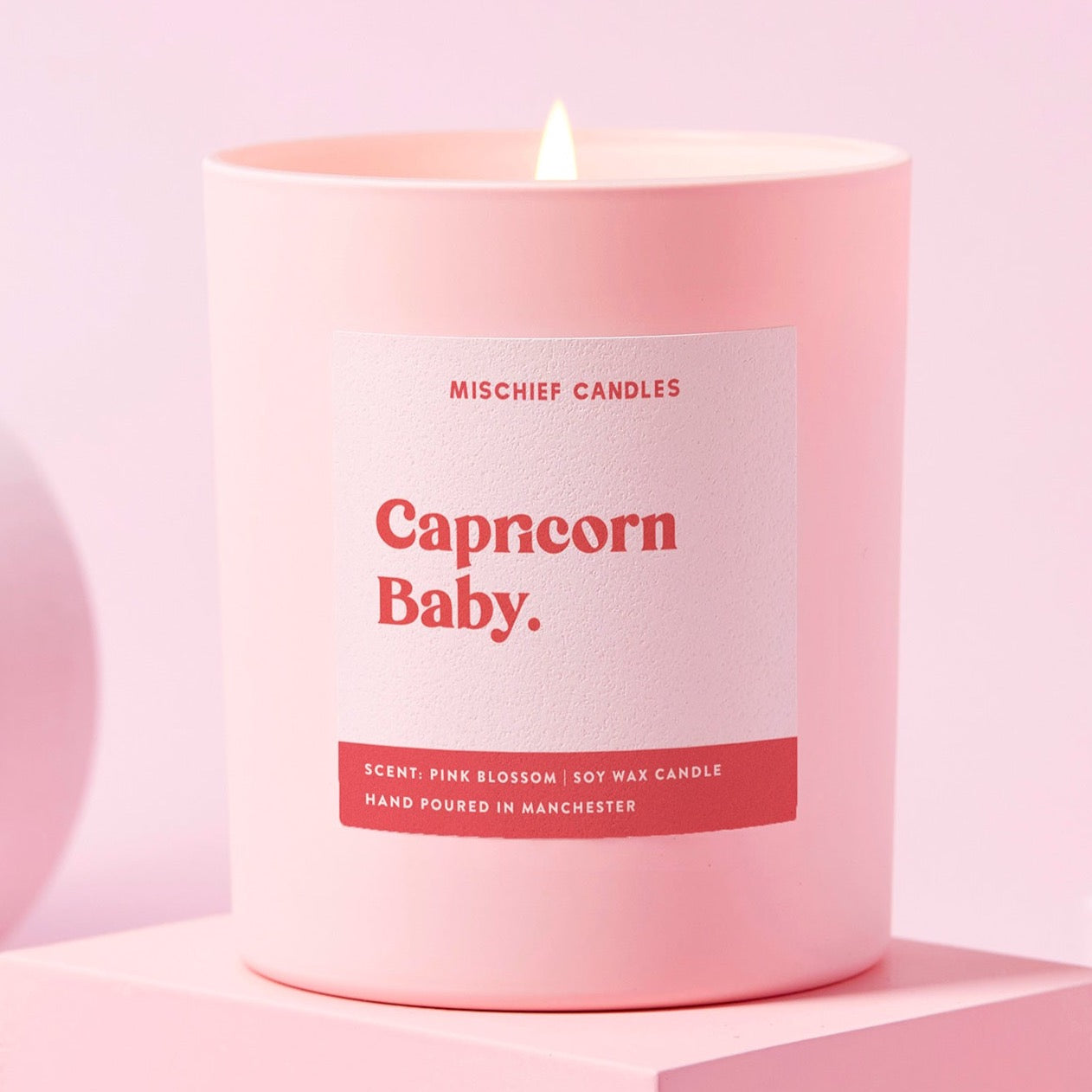 Capricorn Birthday Gift Funny Zodiac Candle Capricorn Baby Candle Only - Candles