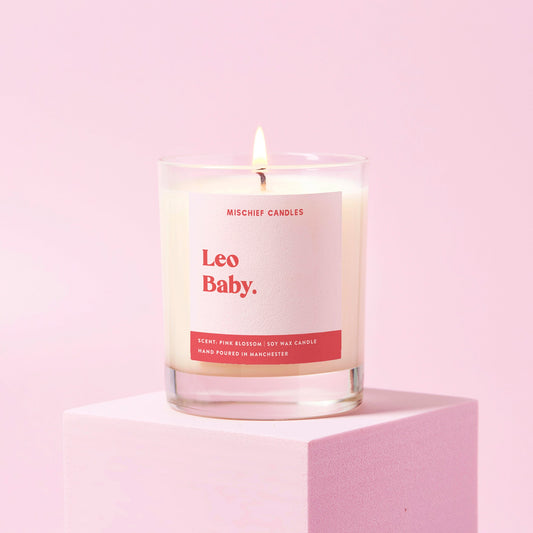 Leo Birthday Gift Funny Zodiac Birthday Candle Leo Baby - Candles