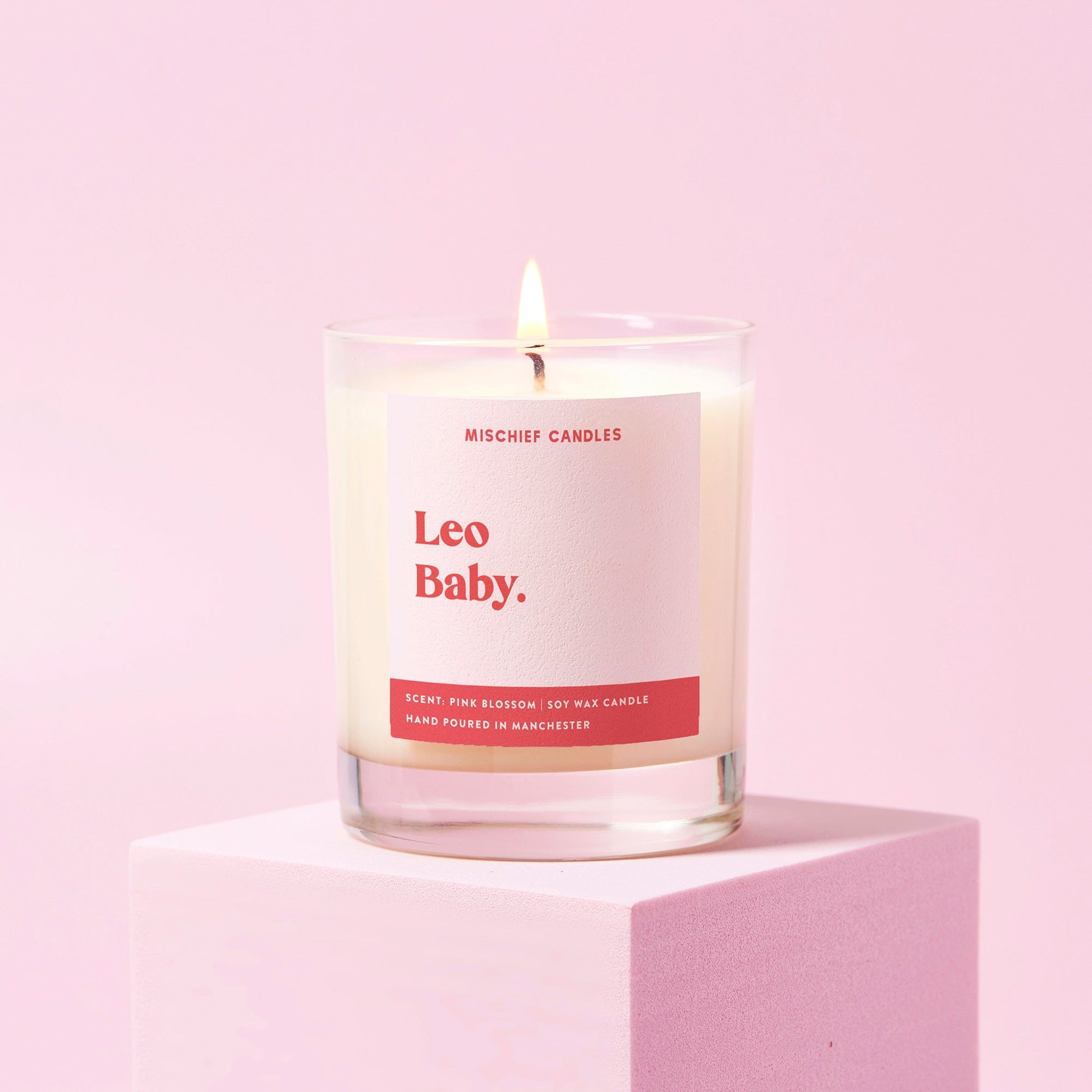 Leo Birthday Gift Funny Zodiac Birthday Candle Leo Baby - Candles