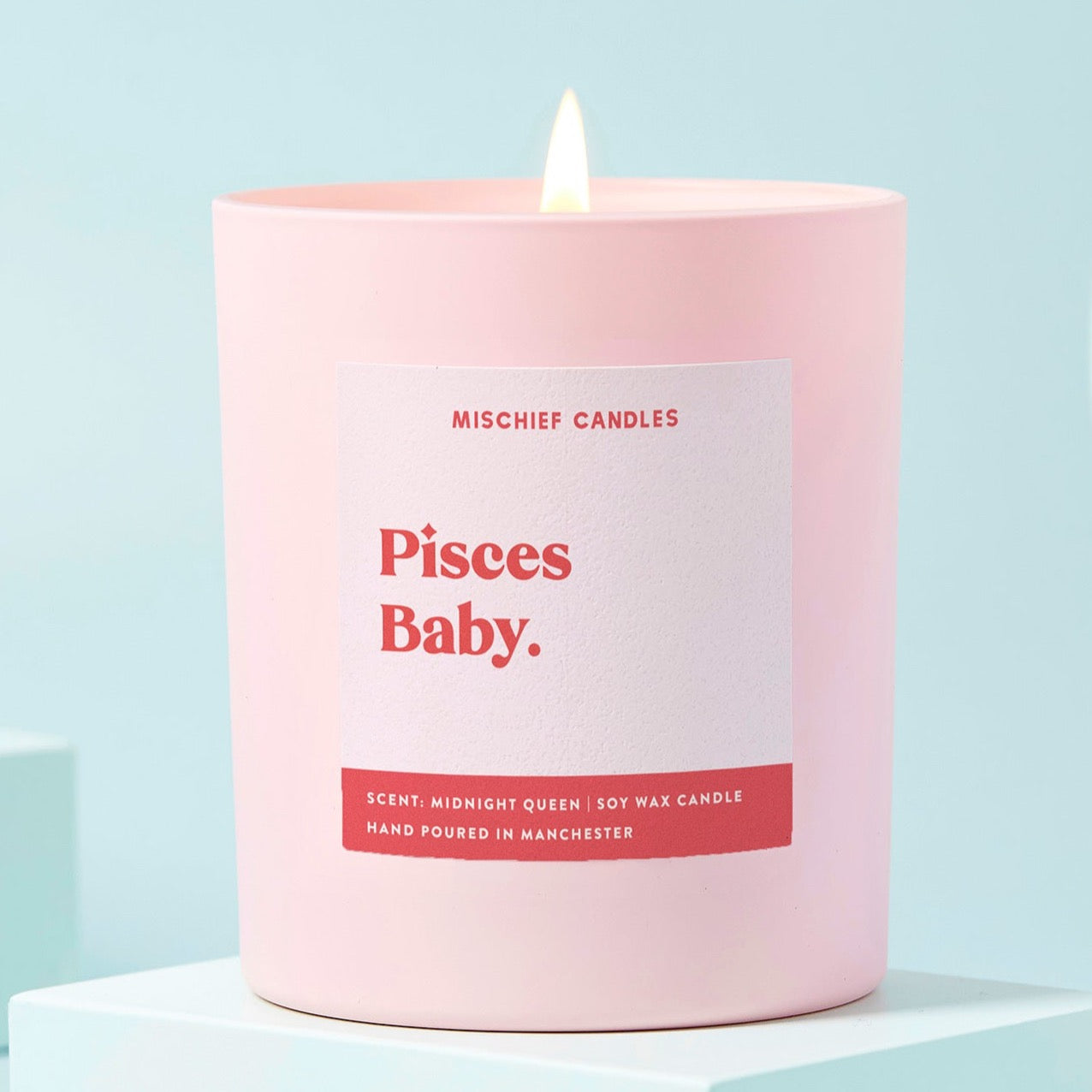 Pisces Birthday Gift Funny Zodiac Birthday Candle Pisces Baby Candle Only - Candles