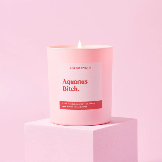 Aquarius Birthday Gift Funny Zodiac Candle Aquarius Bitch Candle Only - Candles