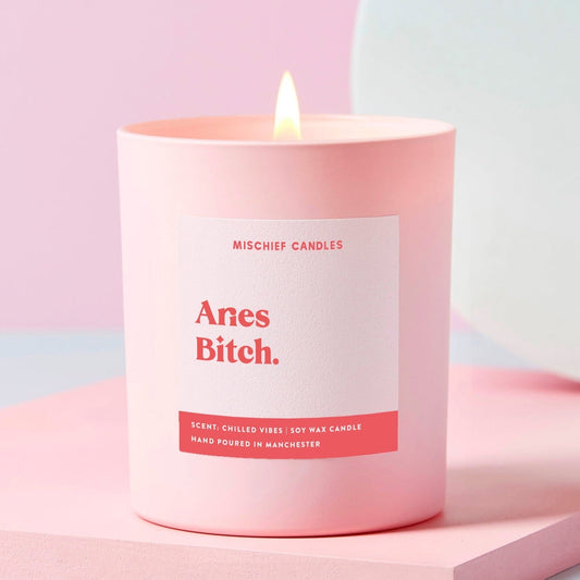 Aries Birthday Gift Funny Zodiac Candle Aries Bitch Candle Only - Candles